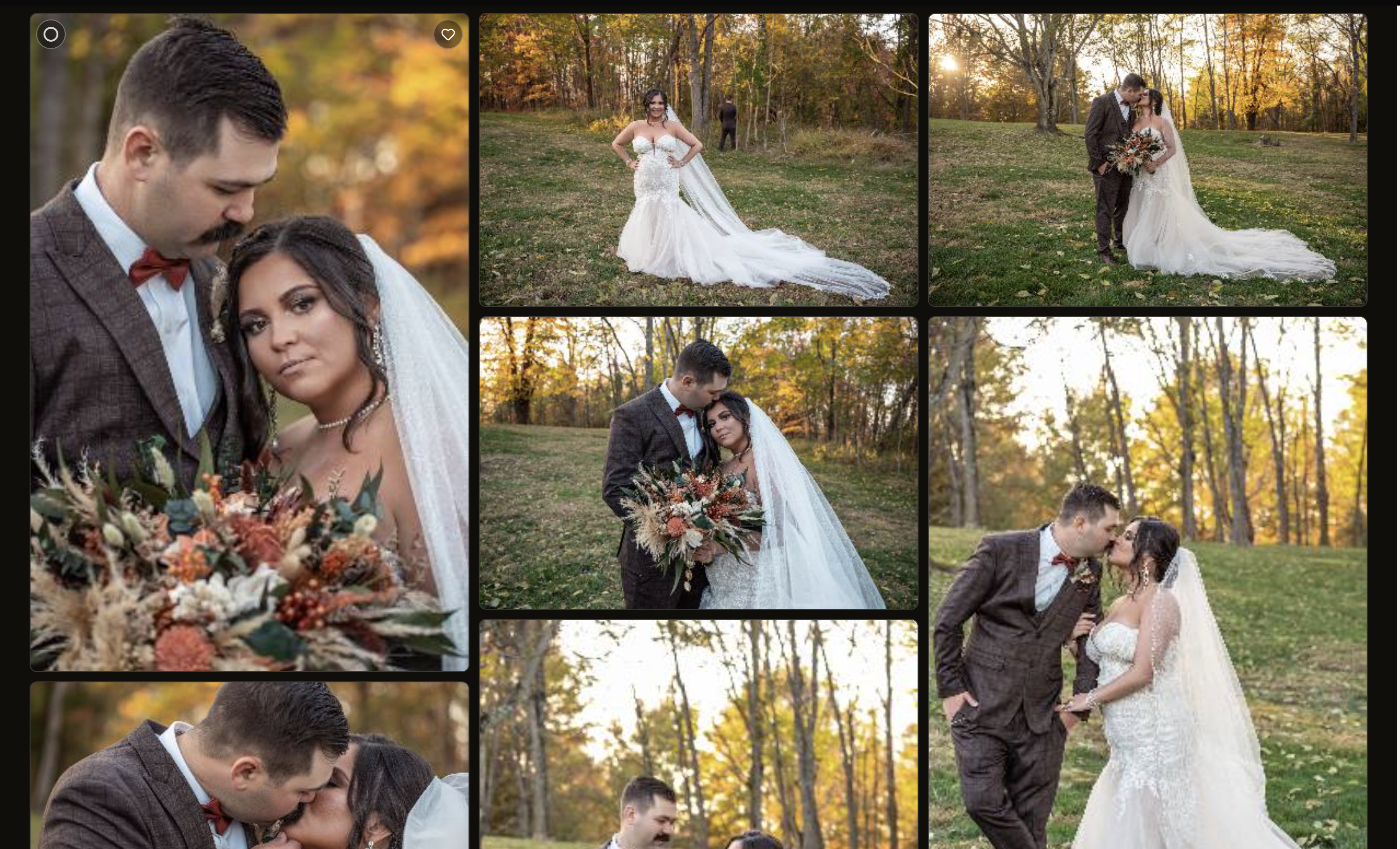 Wedding project overview for Sarah and Michael
